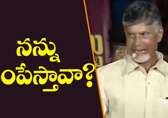 వివేకాలాగే నాపై గొడ్డలి వేటు వేస్తారా - చంద్రబాబు