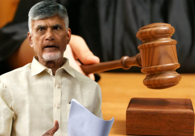 టీడీపీ అధినేత చంద్రబాబుకు మధ్యంతర బెయిల్‌ 