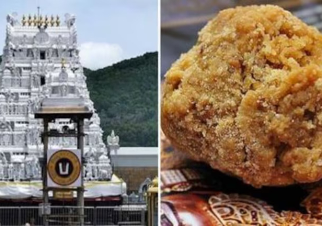 తిరుమల లడ్డూకు కల్తీ నెయ్యి- రంగంలోకి కేంద్ర ప్రభుత్వం