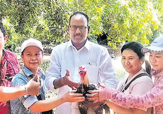 పందెంకోడికోసం థాయిలాండ్‌ నుంచి ఏలూరు వచ్చారు.. కానీ