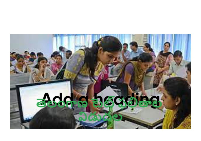 తెలంగాణ టెట్‌ ఫలితాల విడుదల.. రిజల్ట్స్‌ న్యూస్ పిల్లర్.కామ్ లో