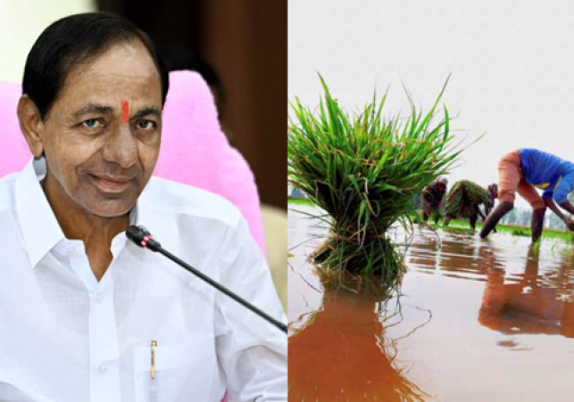 రైతులకు శుభవార్త చెప్పిన సీఎం కేసీఆర్- ఆగస్టు 3 నుంచి రైతు రుణమాఫీ