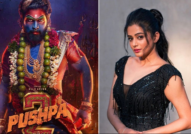 పుష్ప 2 లో ప్రియమణి? - ఇంతకీ ఆమె ఏంచెప్పారంటే