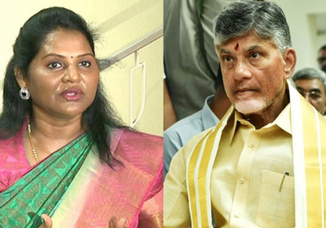 నాకు రక్షణ కల్పించండి- చంద్రబాబును కలిసిన శ్రీదేవి