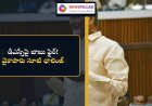 మెగా డీఎస్సీపై బాబు ఫైర్‌.. వైకాపాకు సూటి ఛాలెంజ్‌