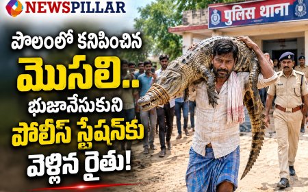 పొలంలో కనిపించిన మొసలి.. భుజానేసుకుని పోలీస్ స్టేషన్‌కు వెళ్లిన రైతు