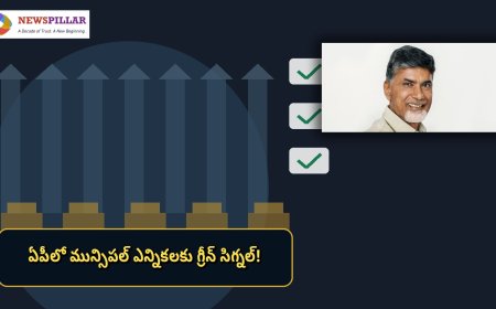 ఏపీలో మున్సిపల్‌ ఎన్నికలకు కసరత్తు షురూ.. 123 పట్టణ సంస్థలపై ఫోకస్‌