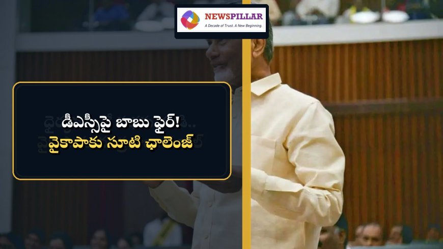 మెగా డీఎస్సీపై బాబు ఫైర్‌.. వైకాపాకు సూటి ఛాలెంజ్‌