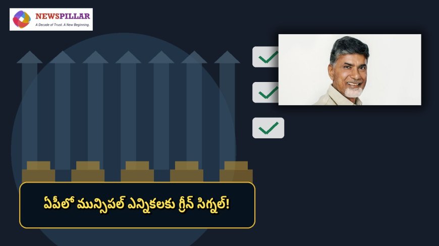 ఏపీలో మున్సిపల్‌ ఎన్నికలకు కసరత్తు షురూ.. 123 పట్టణ సంస్థలపై ఫోకస్‌